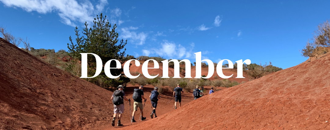 Rejser i December