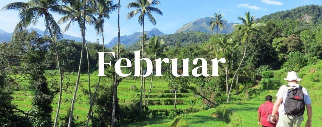 Rejser i februar