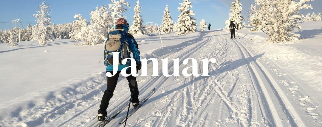 Rejser i januar