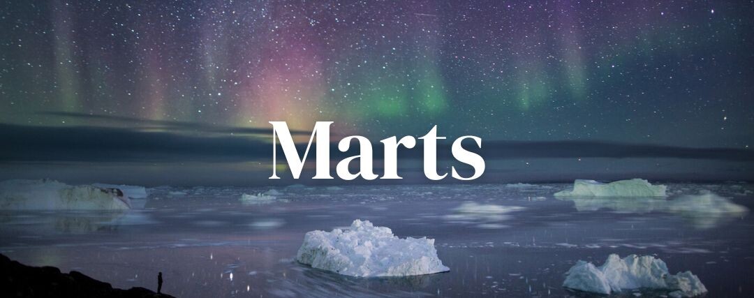 Rejser i narts