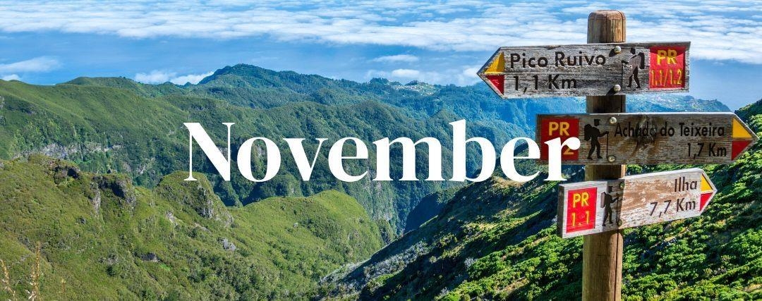 Rejser i november