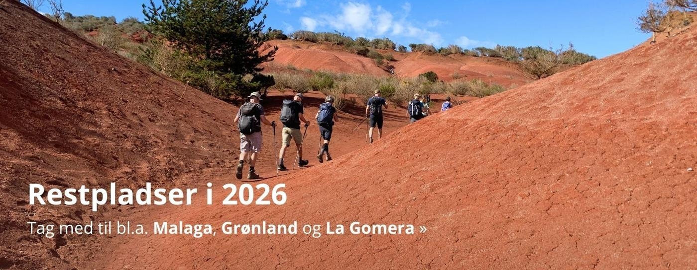 Restpladser 2026